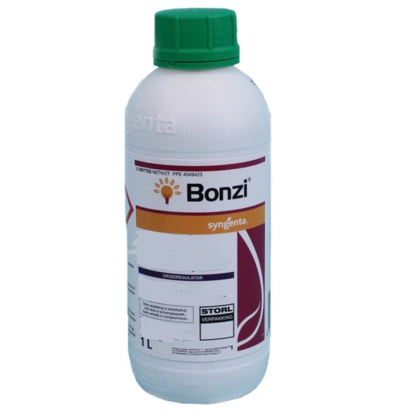 Groei remmer Bonzi